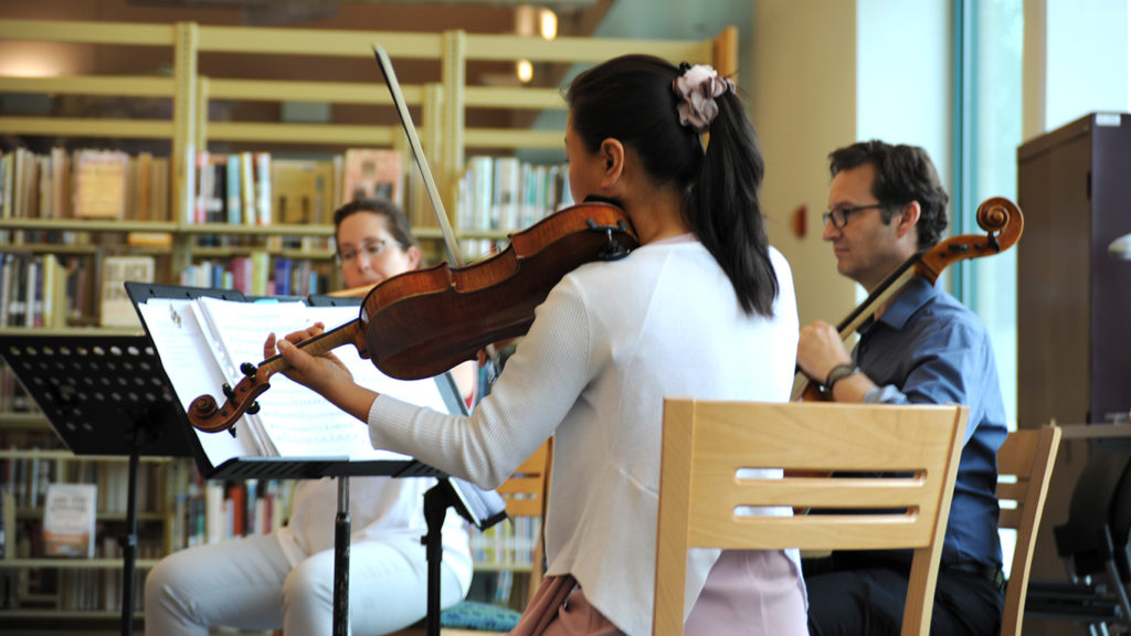 Plano Symphony Orchestra trio plays at the library