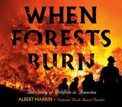When Forests Burn: The Story of Wildfires in America