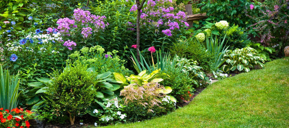 Variety of flowers and plants in a garden bed